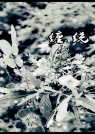 缠绕结构壁b型管